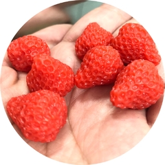 Charm Strawberries BBs (3 un)