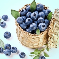 Essência GRINGA Blueberry (5 ml)