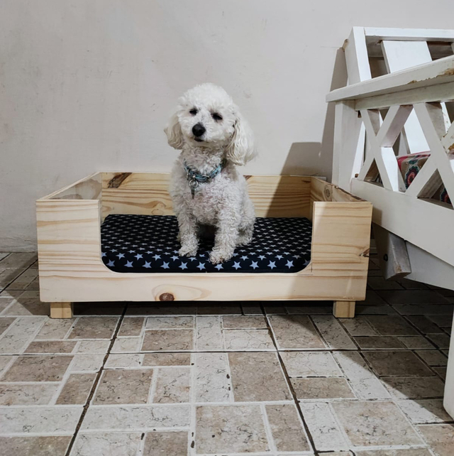 Cucha para online cachorros