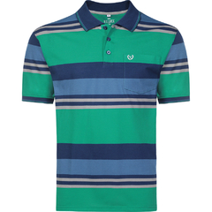 CAMISA POLO MALHA LISTRADA C/B IMP P/GG - VMGP0325