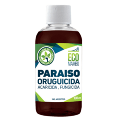 Paraiso plus (Eco mambo) en internet