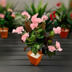 Begonia (Artificial) - comprar online