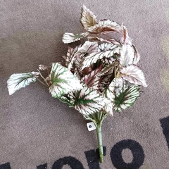 Begonia Rex (Artificial) - Vivero Mario