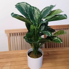 Calathea Medallion Artificial - Vivero Mario