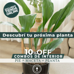 Combo Interior - Vivero Mario