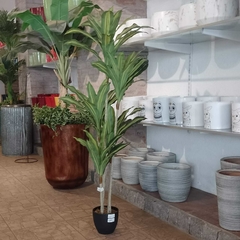 Dracaena massangeana (Artificial) - tienda online