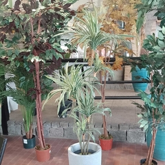 Dracaena warnekki (Artificial)