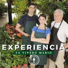 Experiencia en Vivero Mario