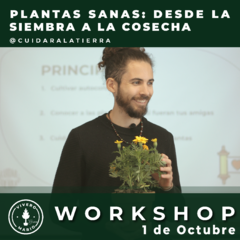 "plantas sanas: de la siembra a la cosecha" por @cuidarlatierra - comprar online