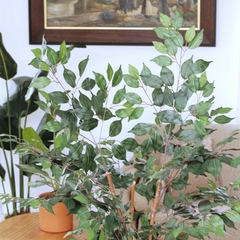 Ficus Tupido (Artificial)