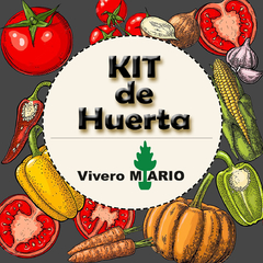 Kit de Huerta - comprar online