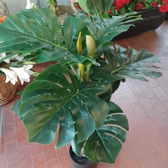 Monstera (Artificial)