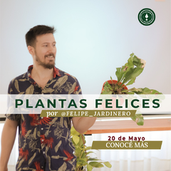 "plantas felices v3" por @Felipe_Jardinero