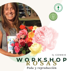 "Poda y Reproducción de Rosas" por Connie de @vico_organico