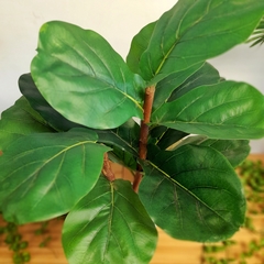 Ficus Pandurata (Artificial) - comprar online