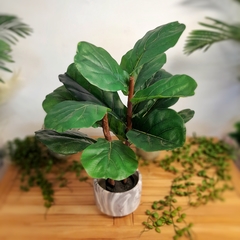 Ficus Pandurata (Artificial) - tienda online