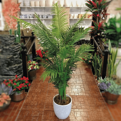 Areca Natural Touch (Artificial) en internet