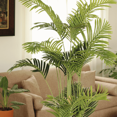 Palmera Tropical Biggy (Artificial) - comprar online