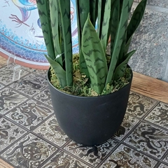 Sansevieria Verde (Artificial) en internet