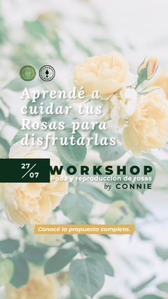 "Poda y Reproducción de Rosas" por Connie de @vico_organico en internet