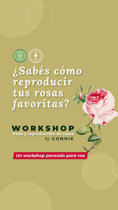 "Poda y Reproducción de Rosas" por Connie de @vico_organico - tienda online