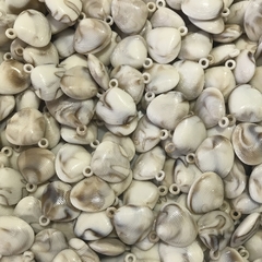 conchas-para-bijuterias