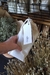 Almohadilla de semillas - comprar online