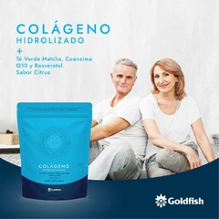 GOLD FISH COLAGENO POLVO X 200 GRS