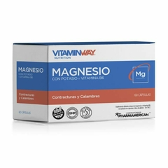 VITAMIN WAY MAGNESIO Y POTASIO X60C - comprar online