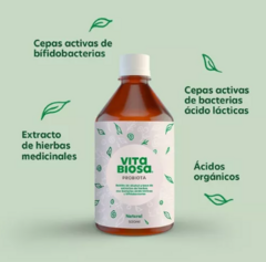 VITA BIOSA PROBIOTA Frutilla x 500 ml - comprar online