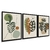 CONJUNTO 3 QUADROS - BOTANICO E TONS TERROSOS - comprar online