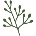 Logo de www.naturalecosmetica.com.ar