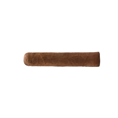 Nica Línea Amarilla Short Robusto - Mazo x 10 - comprar online