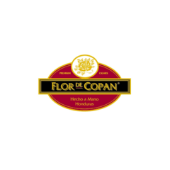 Flor de Copán Corona - Caja x 20 - comprar online