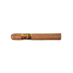 Kuuts Nicaraguan Blend Robusto - Unidad