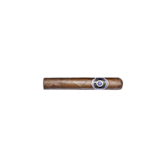 Reposado 96 Estate Blend Colorado Robusto - Mazo x 10 - comprar online