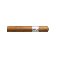 Vegafina Robusto - Caja x 25 - comprar online