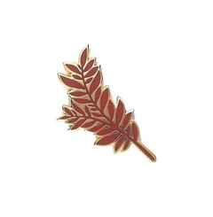 Pin MATINHO (OURO SECO)