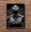 Quadro Arte Mma Lutadores Anderson Spider Silva 42x29cm