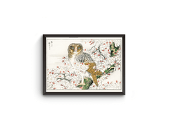 Quadro decorativo Ukio-e Arte Japonesa Coruja Numata Kashu