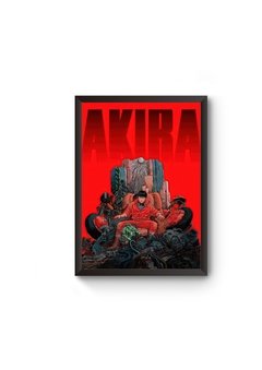 Quadro Decorativo Akira