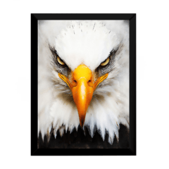 Lindo quadro decorativo arquetipo da aguia poder 42x29cm