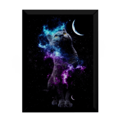 Lindo quadro decorativo o gato do universo 42x29cm