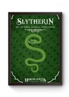 Quadro Hogwarts Slytherin Poster Moldurado