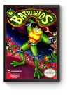 Quadro Capa Battletoads Nintendinho Poster Moldurado