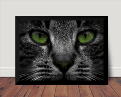 Quadro Decorativo Gato Cinza Olhos Verdes Arte Moldurada