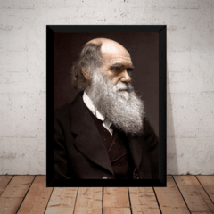 Quadro Decorativo Charles Darwin Arte