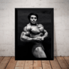 Quadro Decorativo Franco Columbu Fisiculturista Academia