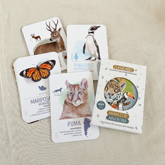 Flashcards (tarjeta de aprendizaje) Animales de Argentina - comprar online