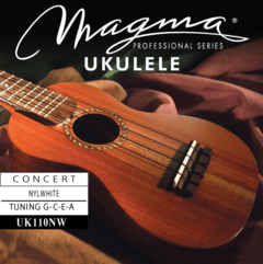 KIT UKELELE en internet